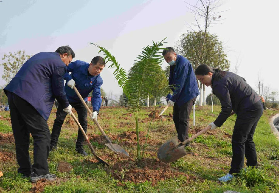 三峽集團(tuán)保護(hù)珍稀植物植物突破1300種