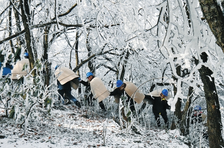 【新春滿能量 央企“不打烊”】“披氈戰(zhàn)隊(duì)”冰山護(hù)電