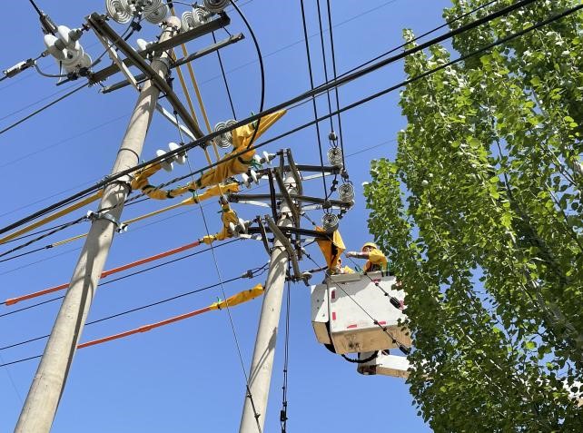 帶電作業(yè)除隱患，安全供電有保障