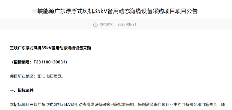 三峽能源廣東漂浮式風(fēng)機(jī)35kV備用動(dòng)態(tài)海纜設(shè)備采購(gòu)招標(biāo)