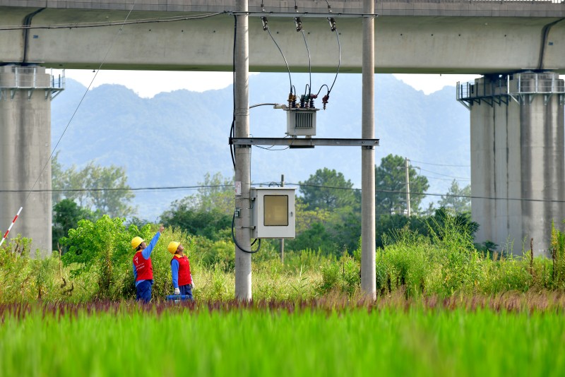 國網余姚市供電公司：供電有保障 鄉(xiāng)村旅游更火熱