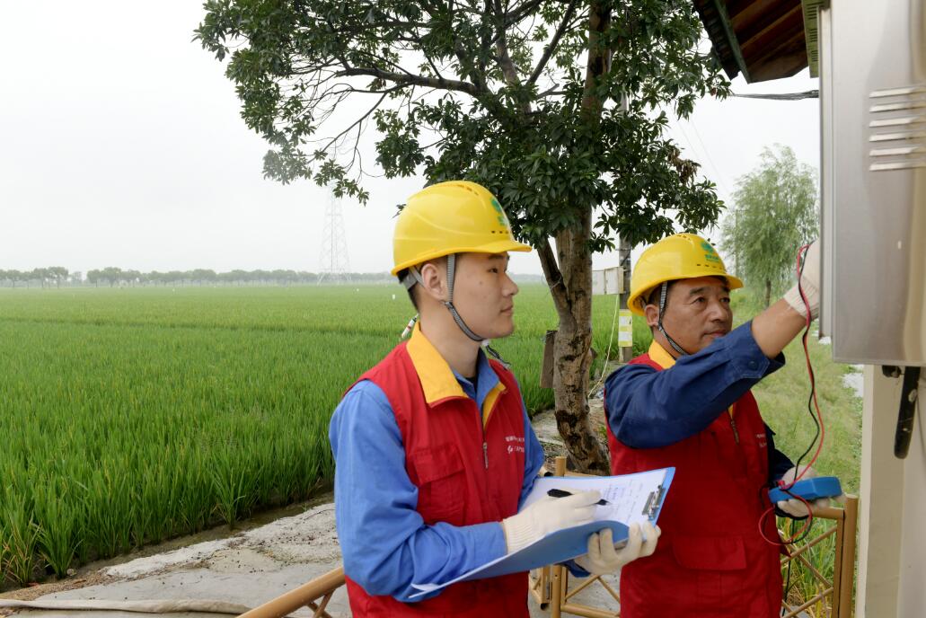 國網余姚市供電公司：秋收用電早檢查 護航穩(wěn)產好“豐”景