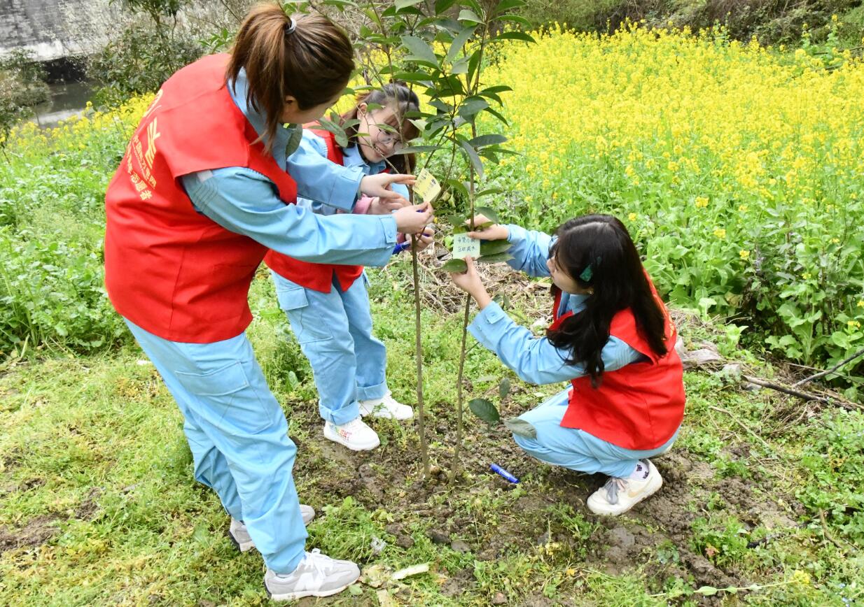 貴州德江供電局植樹(shù)添綠上春山