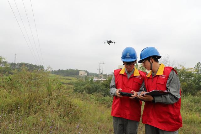 國網新邵縣供電公司除筍護線保安全