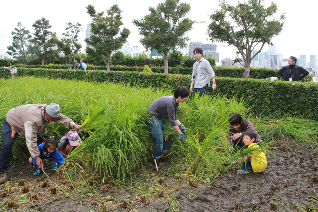 日本如何對(duì)待秸稈焚燒